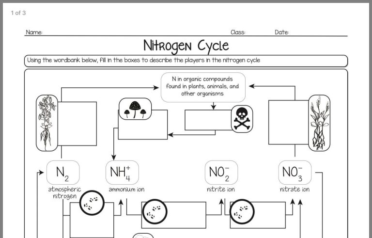 Nitrogen Cycle Diagram Worksheet Answer Key
