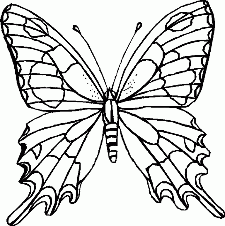Easy Monarch Butterfly Coloring Pages