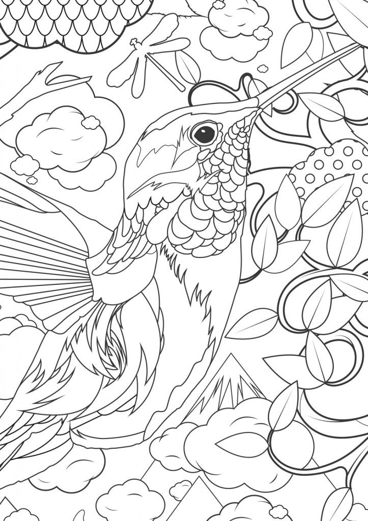 Hard Bird Pictures To Color
