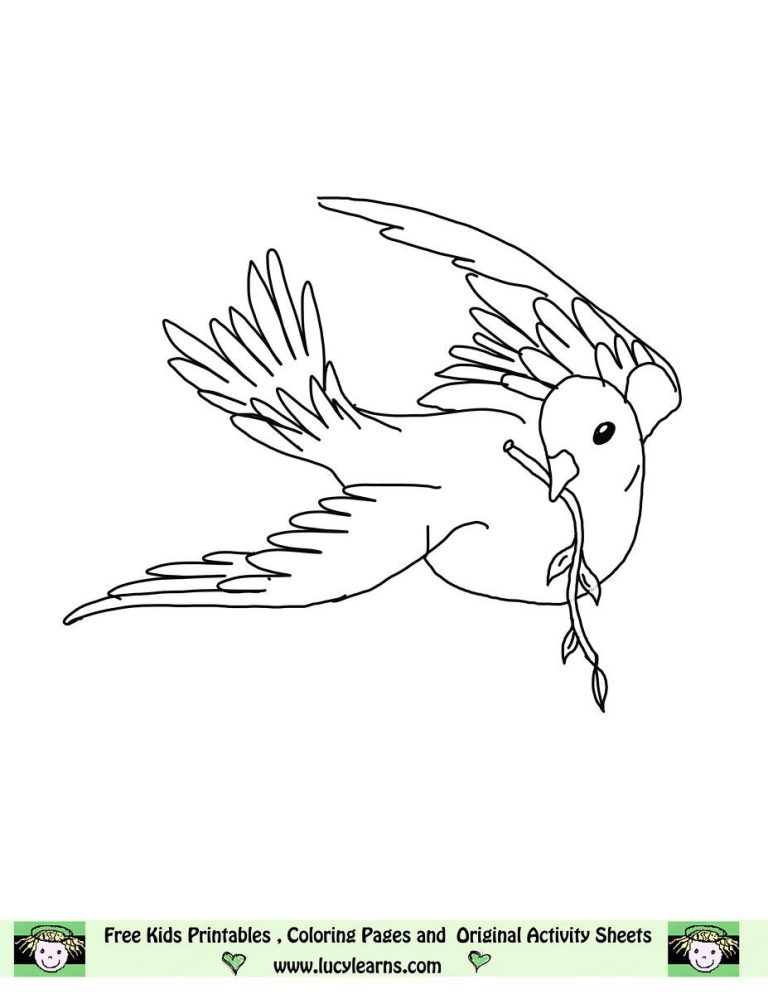 Realistic Dove Coloring Pages