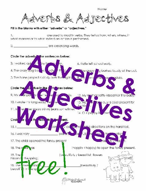 Grade 5 Adjectives Worksheets With Answers