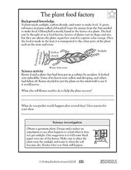 5th Grade Science Worksheets For Grade 5 Plants