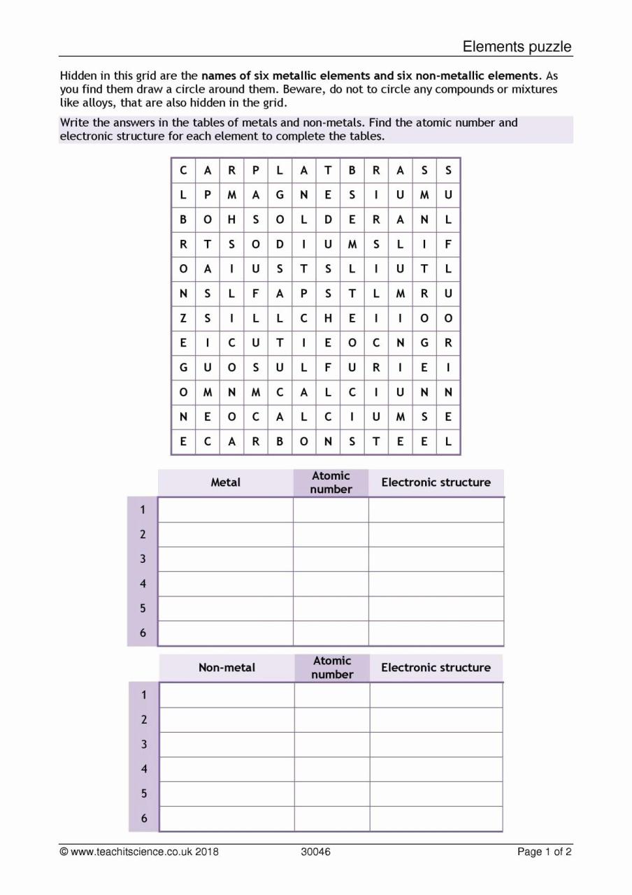 Evolution By Natural Selection Worksheet Answer Key