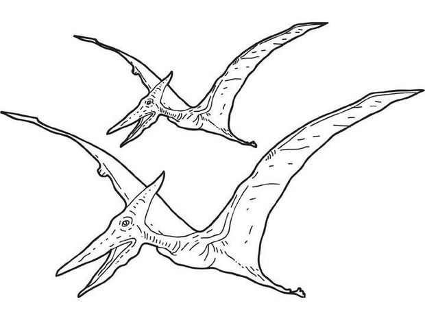 Dinosaur Pterodactyl Coloring Pages