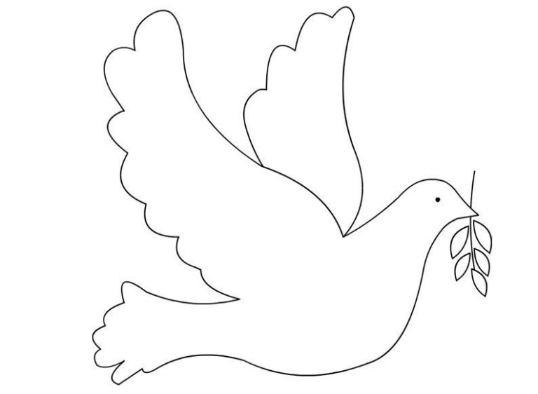 Dove Coloring Page Images