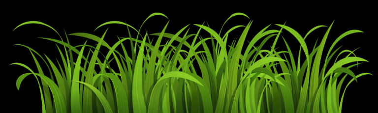 Transparent Grass Coloring Page