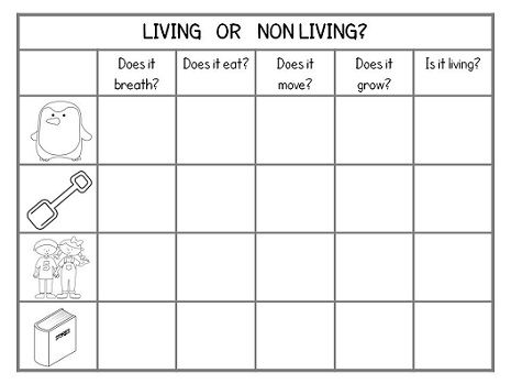 1st Grade Science Worksheets For Grade 1 Living And Nonliving Things