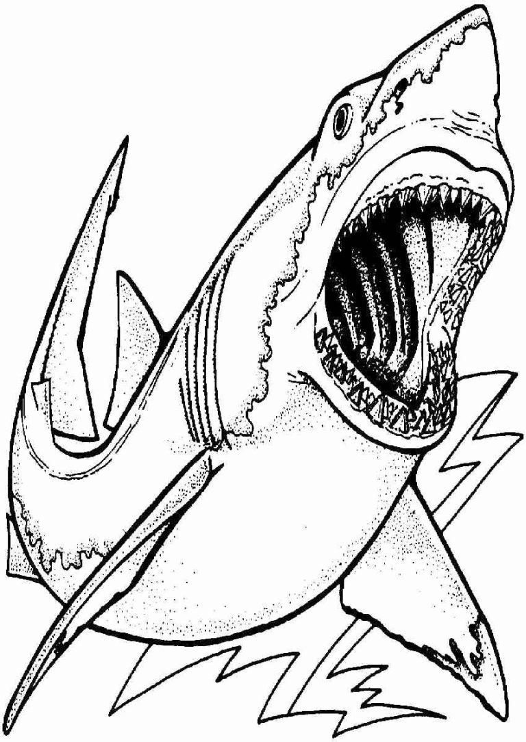 Realistic Great White Shark Coloring Page