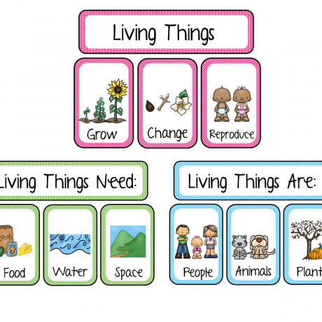 Science Living Things And Non Living Things Worksheet For Grade 1
