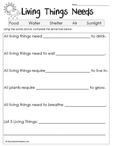 Living Things And Non Living Things Worksheet For Grade 2 Pdf