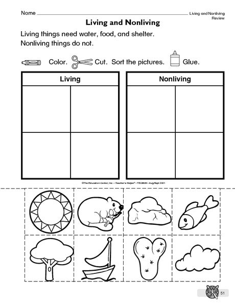Living Things And Non Living Things Worksheet For Grade 1 Pdf