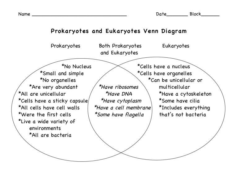 Photosynthesis And Cellular Respiration Venn Diagram Worksheet Answers