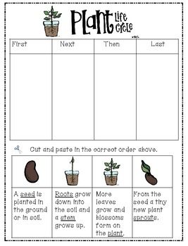 Year 3 Science Plants Worksheets