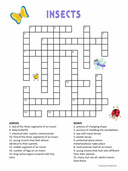 Crossword Puzzle Worksheets For Kids