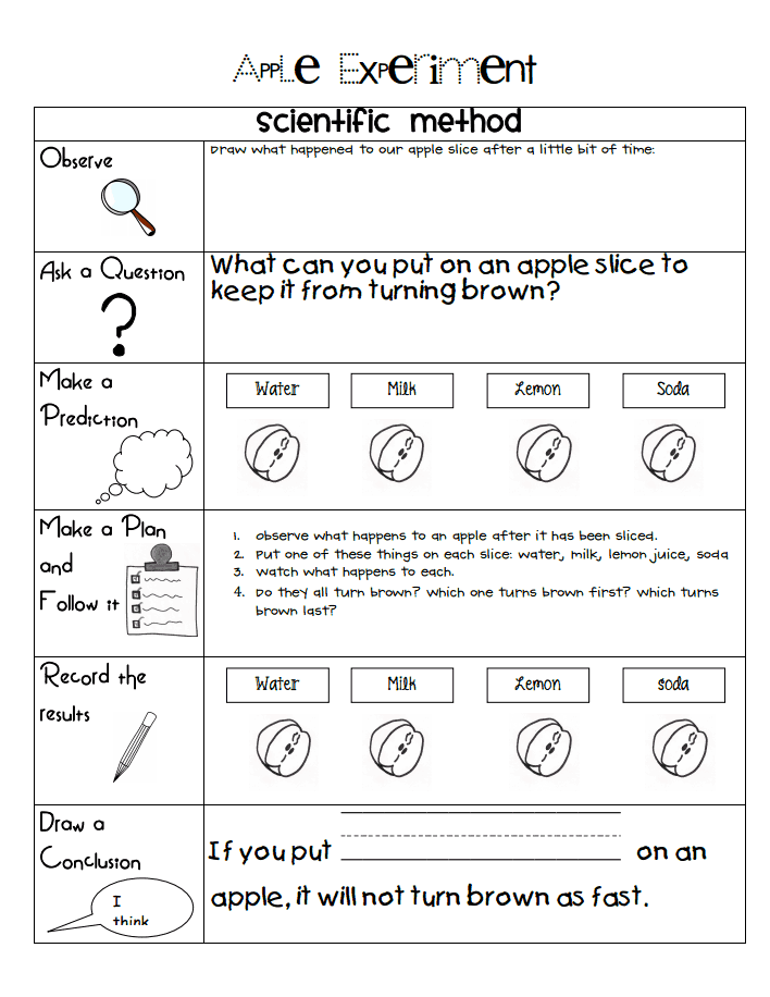 4th Grade Scientific Method Worksheet Pdf For 3rd Grade