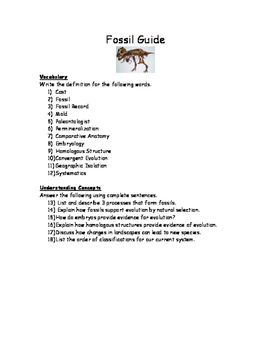 Fossil Evidence Of Evolution Worksheet Answers
