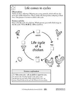 Free Printable Free Science Worksheets For 2nd Grade