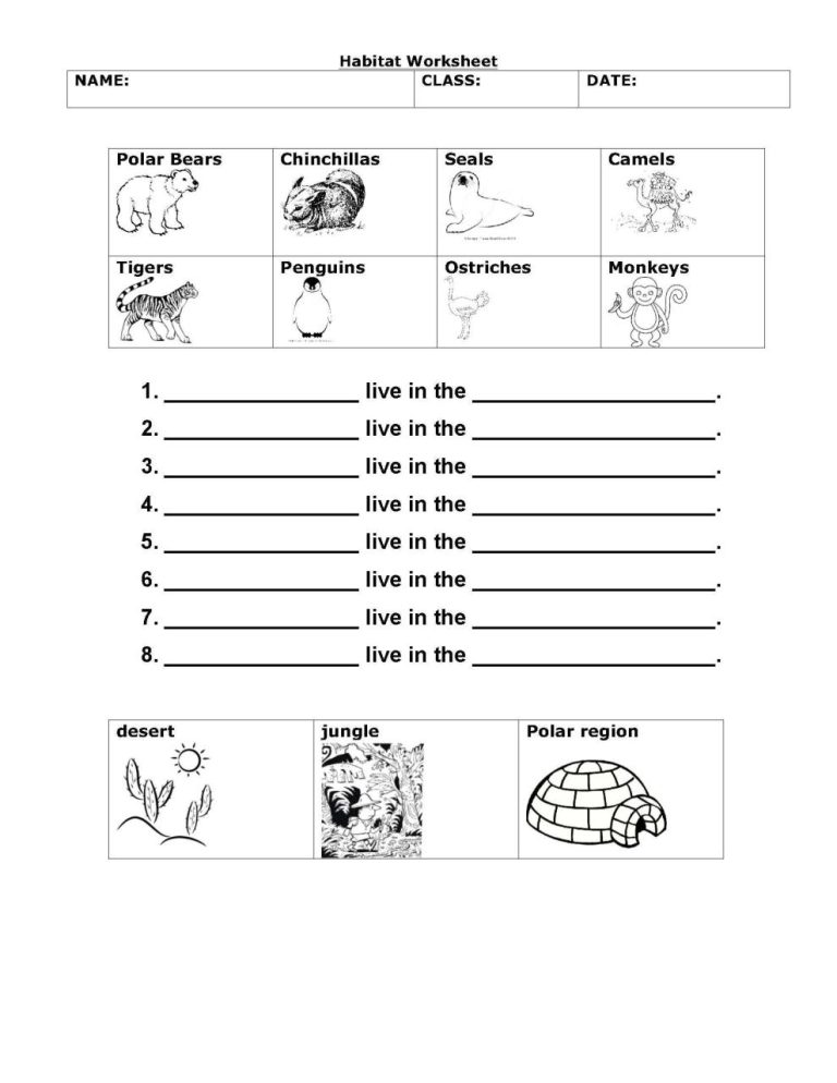 Free Printable Science Worksheets For Grade 2
