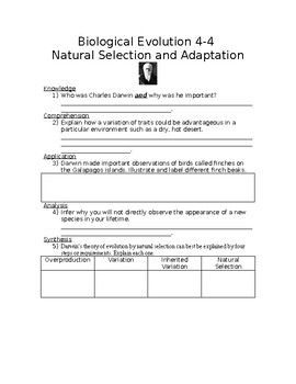 Introduction To Evolution Worksheet Answer Key