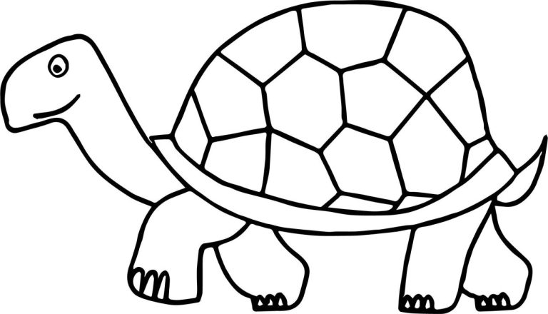 Cool Turtle Pictures To Color