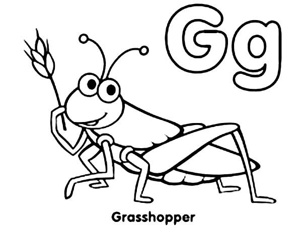 Preschool Grasshopper Coloring Page