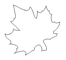 Maple Leaf Coloring Page Pdf