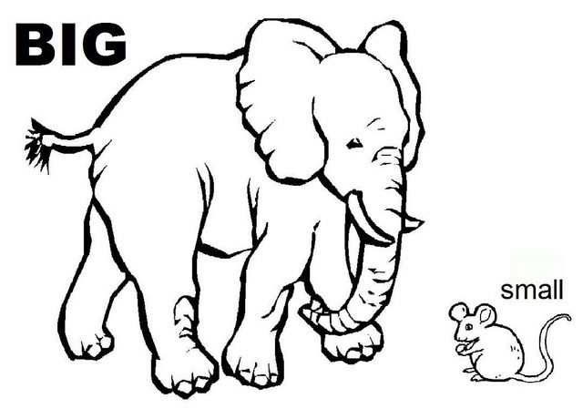 Big And Small Coloring Pages
