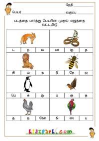 Tamil Worksheets For Grade 1 Pdf