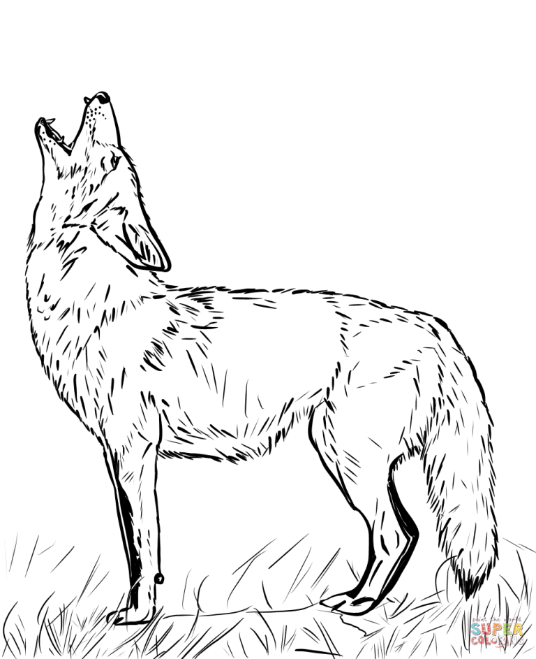 Cute Coyote Coloring Page
