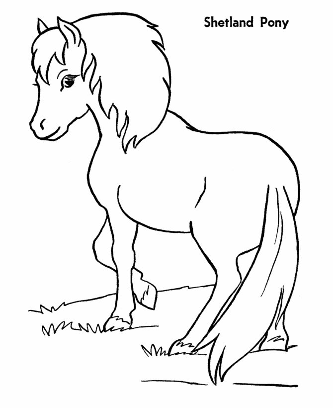 Horse Pony Pictures To Color