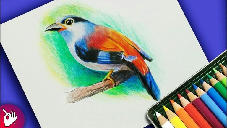 Beautiful Colouring Birds