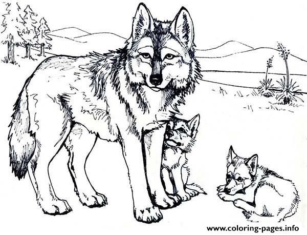 Baby Coyote Coloring Pages