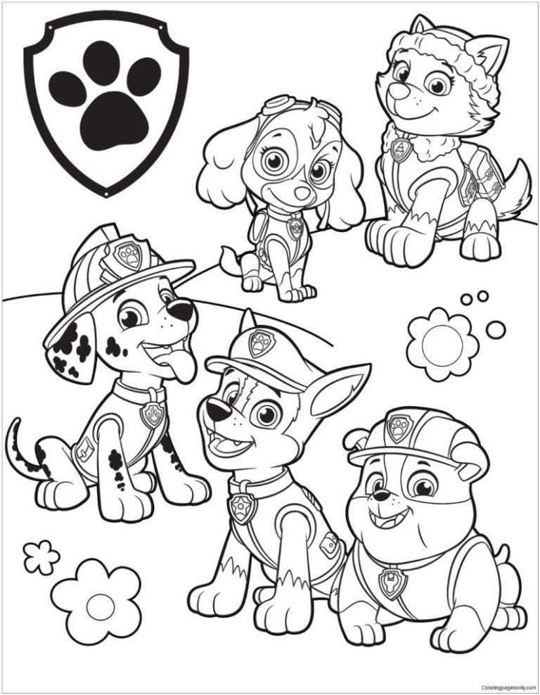 Paw Patrol Images For Coloring