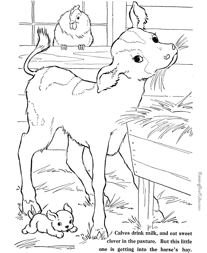 Animal Coloring Pages Printable Free