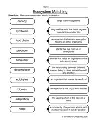 Free Printable Ecosystem Worksheets 5th Grade