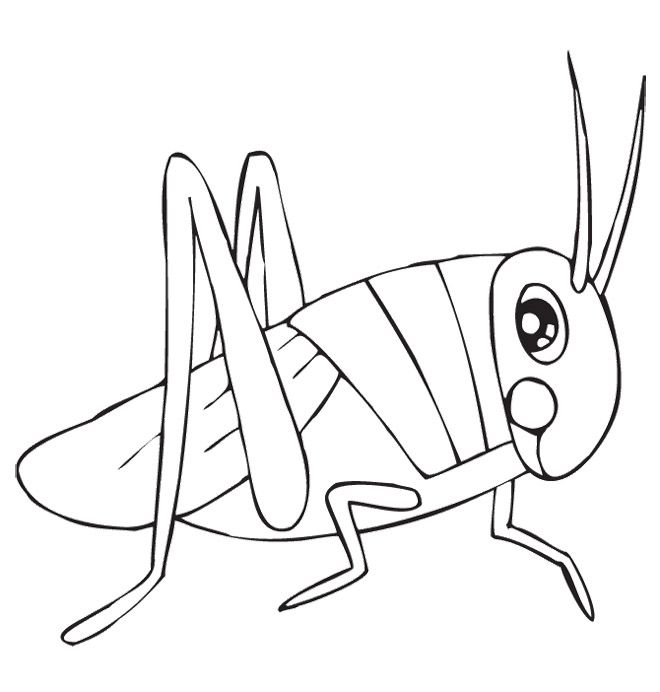 Cute Grasshopper Coloring Page
