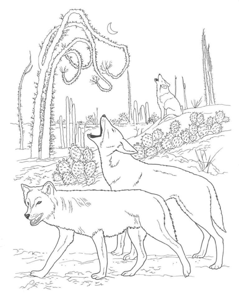 Desert Coyote Coloring Page