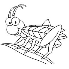 Grasshopper Coloring Pages Printable
