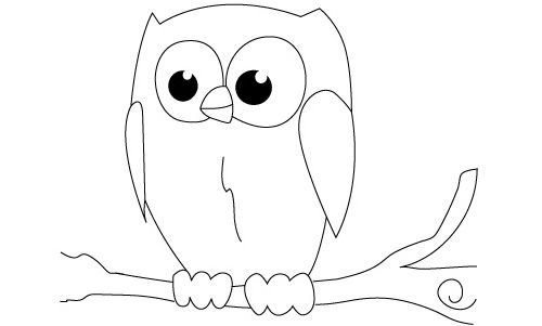 Simple Owl Drawing Colour