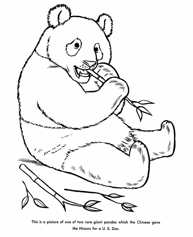 Panda Bear Coloring Sheets