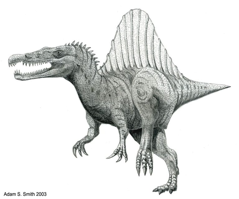 Giganotosaurus Realistic Dinosaur Coloring Pages