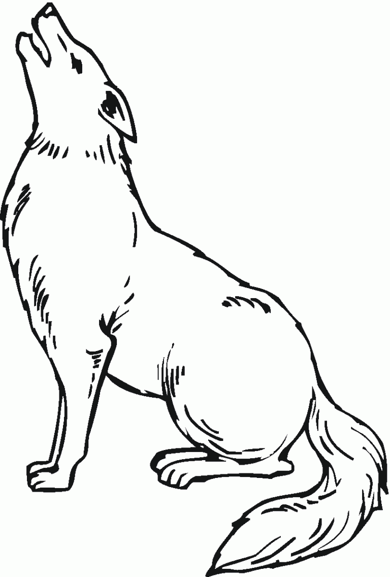 Coyote Coloring Pages For Kids