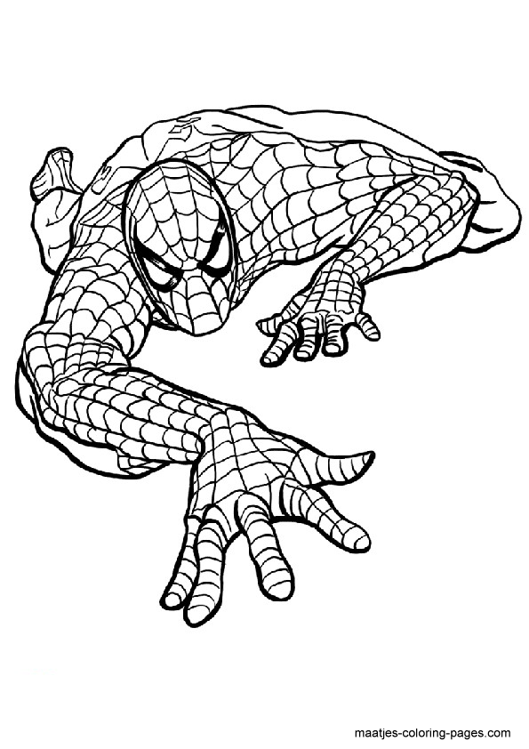 Spiderman Cartoon Coloring Sheets