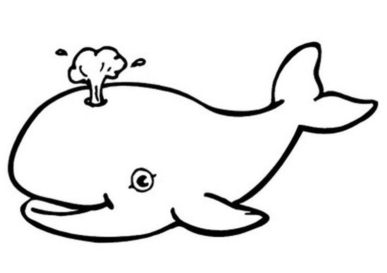 Whale Coloring Pages Printable