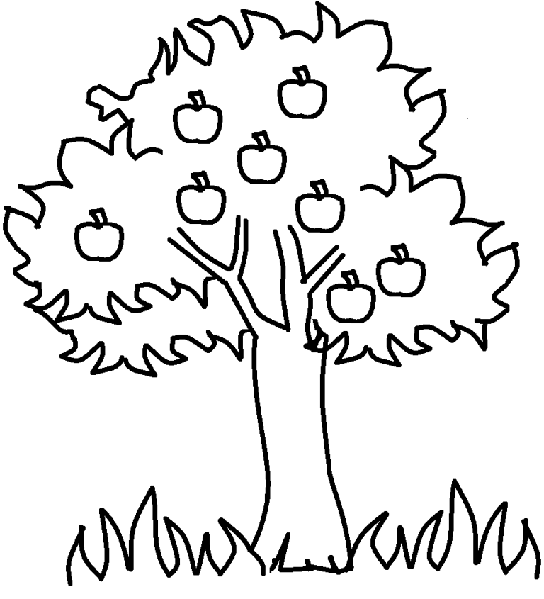 Apple Tree Coloring Pages Free
