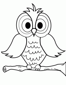 Coloring Owl Pages