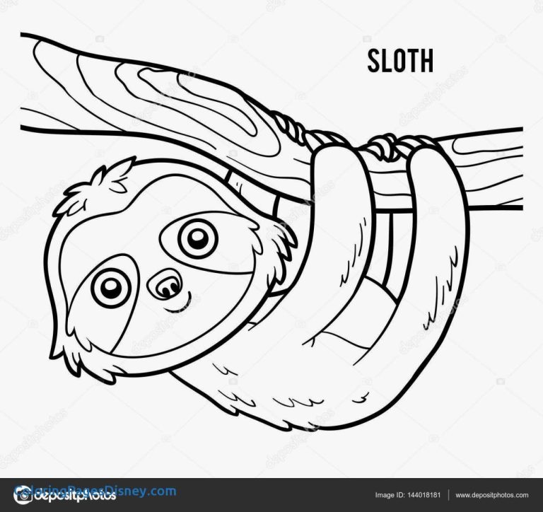 Adorable Baby Cute Baby Sloth Coloring Pages
