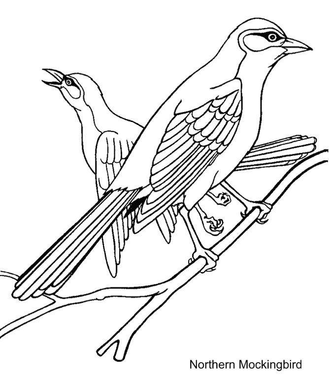 Printable Blue Jay Coloring Page