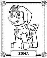 Paw Patrol Pictures For Coloring