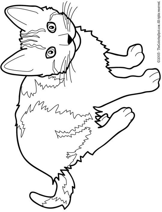 Free Cat Coloring Pages For Kids